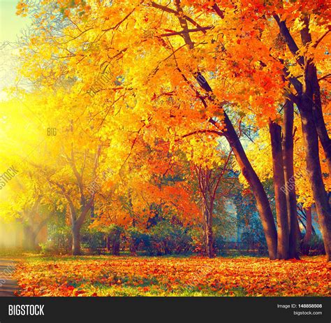 autumn stock photo free|free images of autumn scenes.